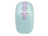 Polarbox-Sky Blue Lilac Pop 6L + 2 Dosen sky blue + lilac