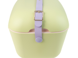 Polarbox-Pop 12L-Limette Flieder